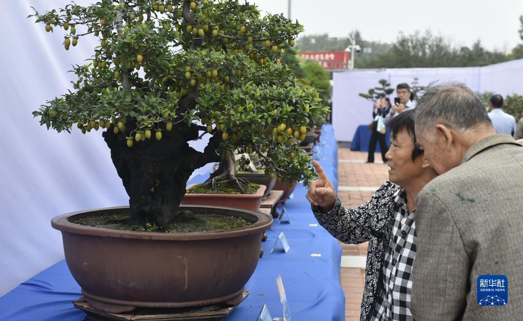 澳亚娱乐平台